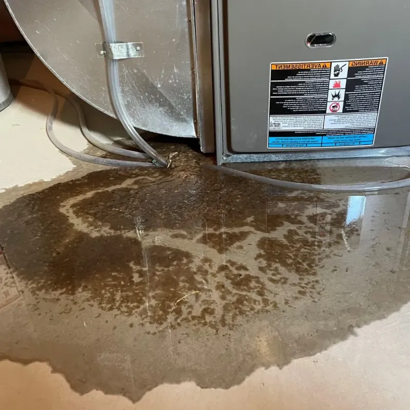 Pipe Burst and Leak Restoration in Perkins County, NE