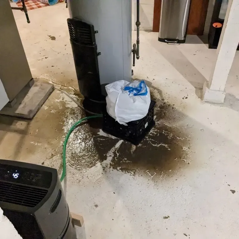 Sewage Backup Cleanup Service in Perkins County, NE